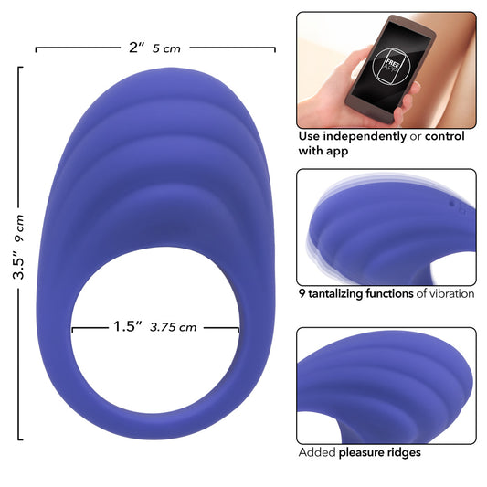 Calexotics Connect Couples Ring - Periwinkle
