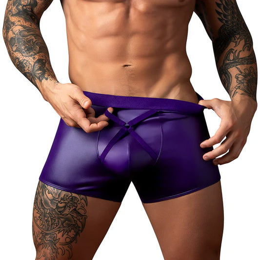 Male Power Eggplant Crossover Short Plum M