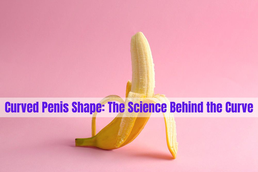 Curved Penis Shape: The Science Behind the Curve