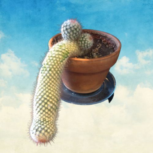 Men’s Sexual Health Terms Explained: A Clear, No-Shame Guide