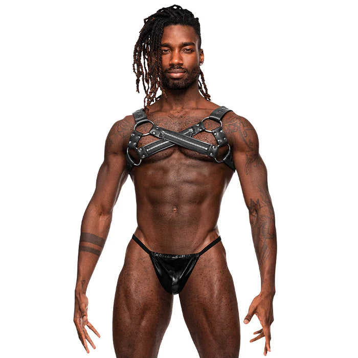 Body Harnesses