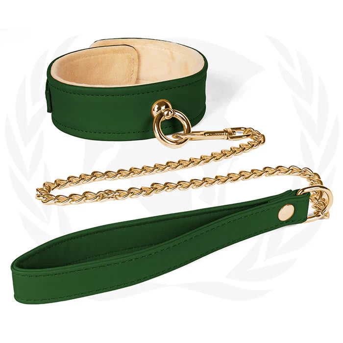 Collars and Leashes