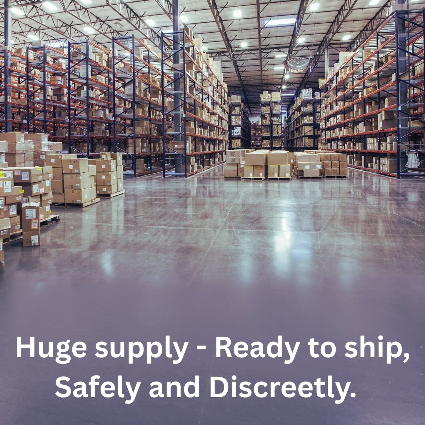 Master Series Holiday Bondage Bear White