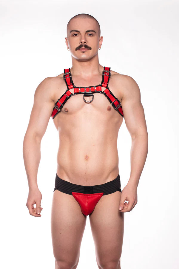 Prowler RED Bull Harness Black/Red XL