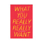 What You Really Really Want: The Smart Girl's Shame-Free Guide to Sex and Safety