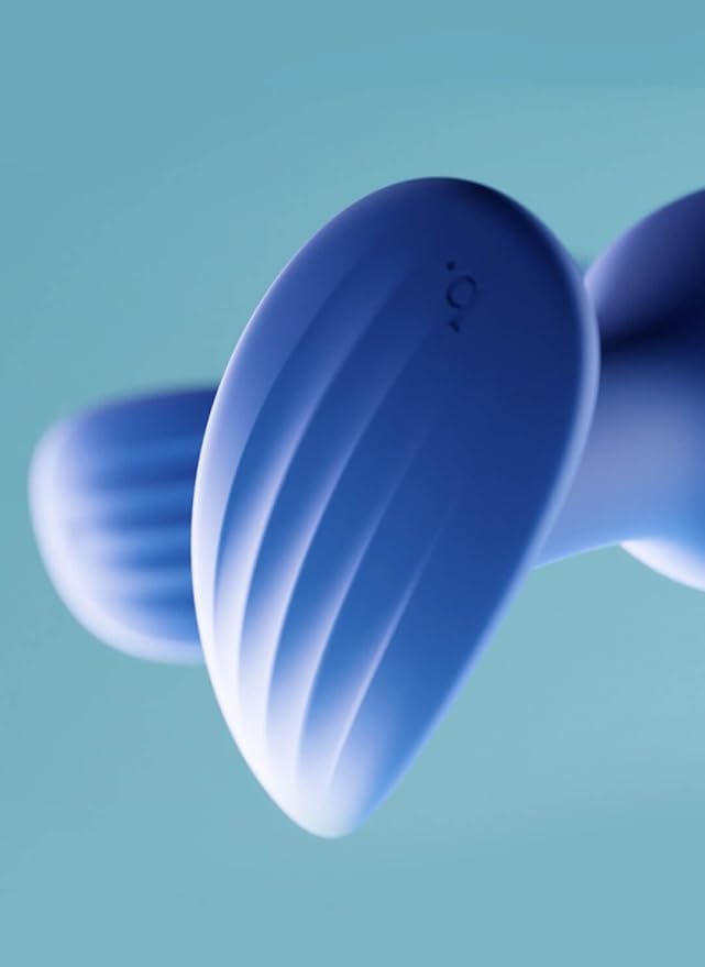 Biird Regii 2-Piece Anal Plug Set Blue