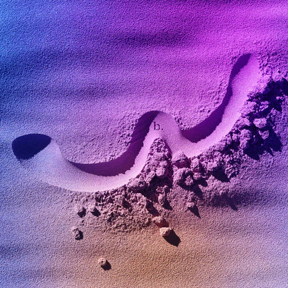 Biird x Wicul OhWii Double-Ended Glass Dildo for G-Spot & P-Spot