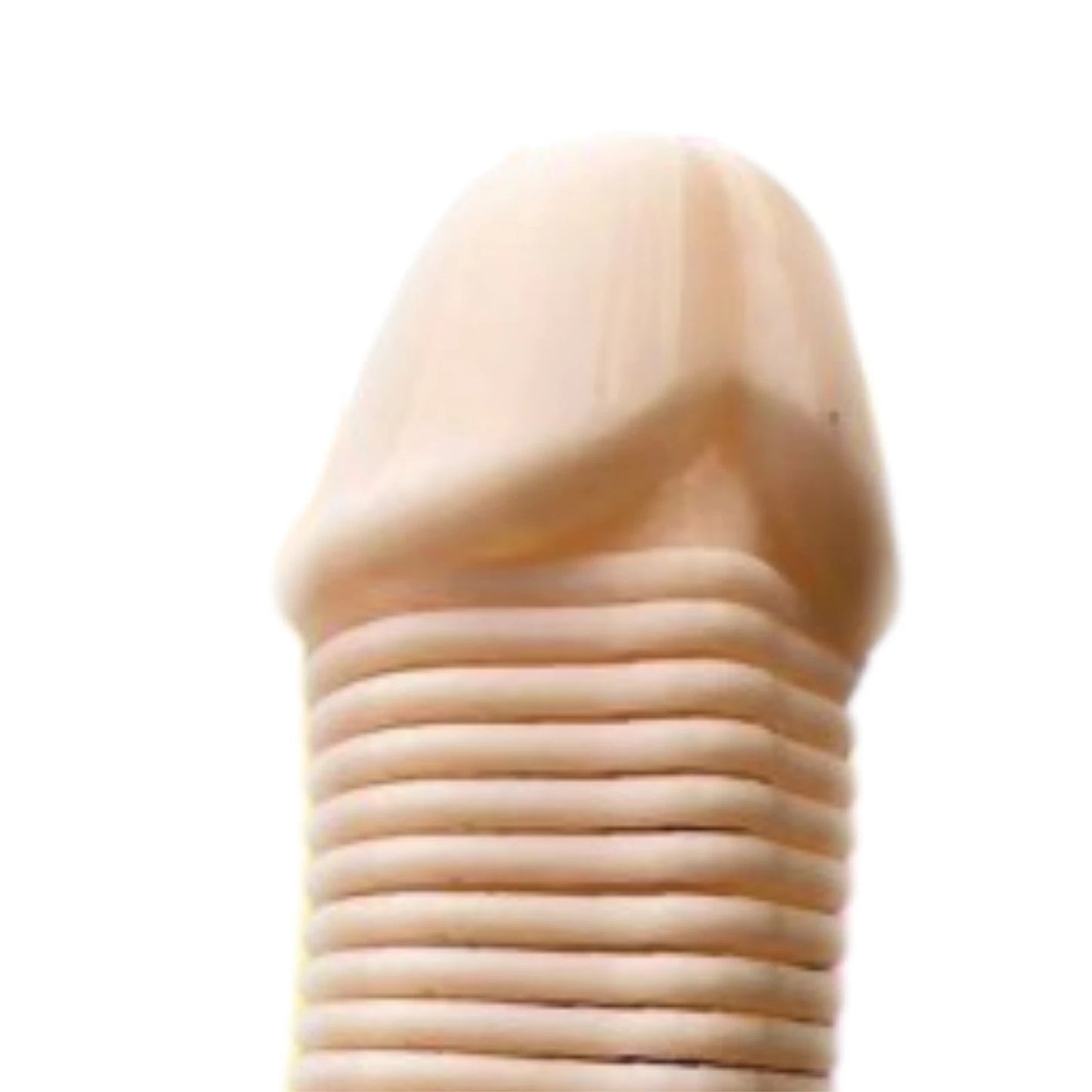 Dinky Slinky Pecker Spring Toy with Suction Cup