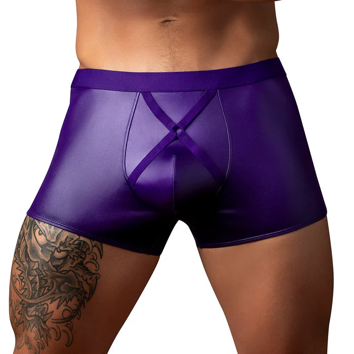 Male Power Eggplant Crossover Short Plum M