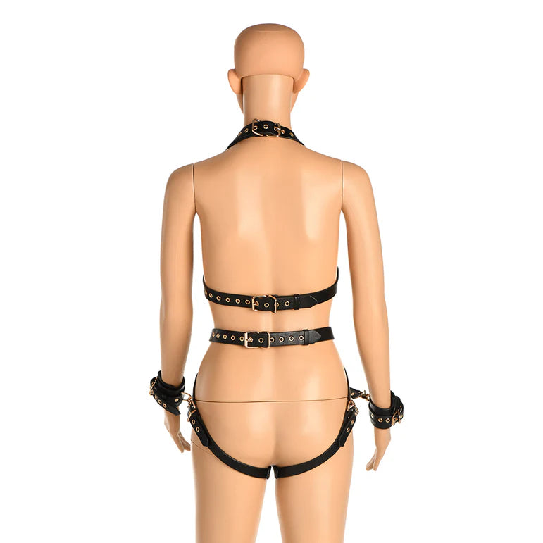 Master Series Harness with Restraints
