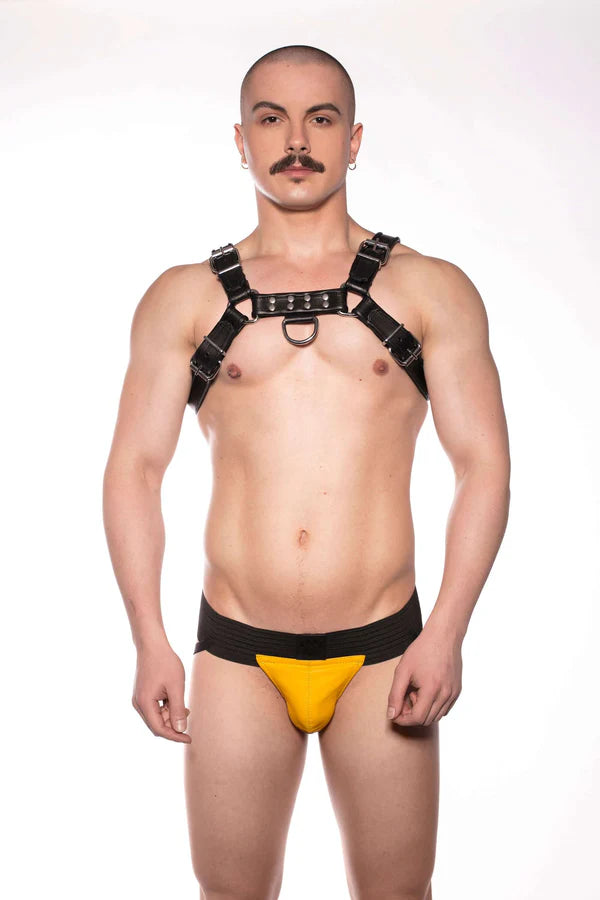 Prowler RED Bull Harness Black S