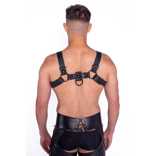 Prowler RED Bull Harness Black with Metal Fittings M