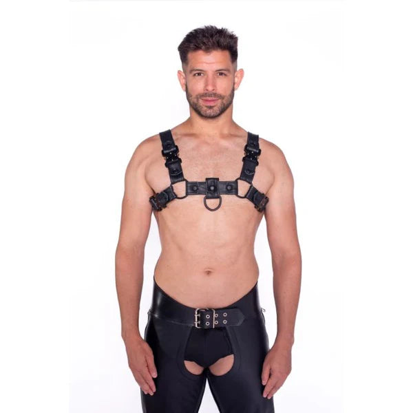 Prowler RED Bull Harness Black with Metal Fittings 2XL