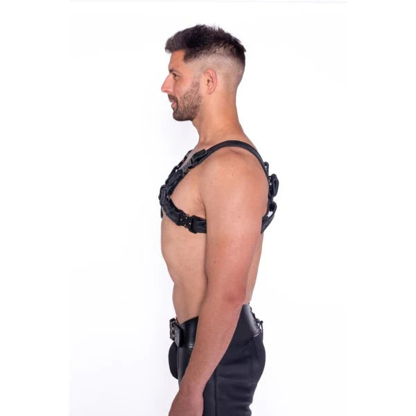 Prowler RED Bull Harness Black with Metal Fittings M