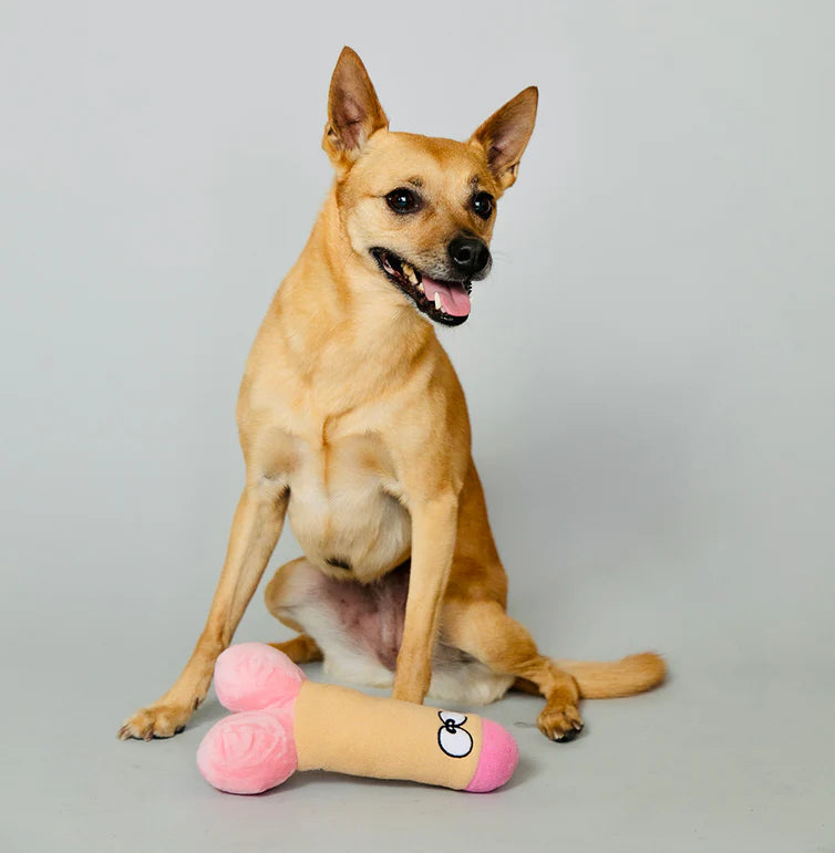 Scruffy Peter Woofington