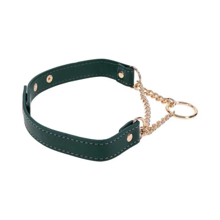 Sportsheets Sex & Mischief Indica Day Collar